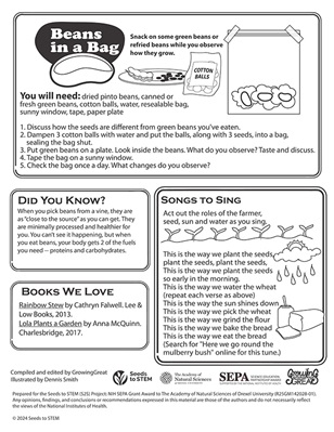 Beans in a Bag Activity Page